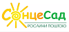 Интернет магазин СонцеСад - растения по почте Логотип(logo)